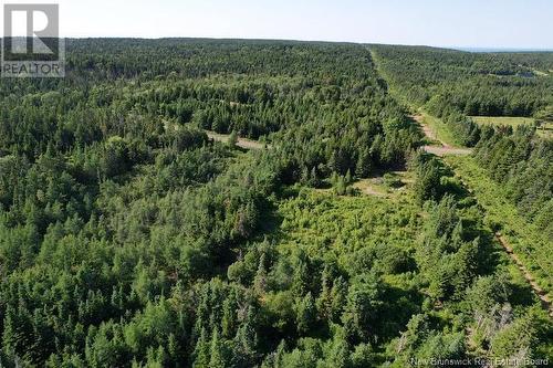 - Dark Harbour Road, Grand Manan, NB 