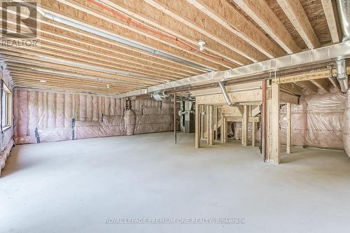 242 Chippewa Avenue, Shelburne, ON - Indoor Photo Showing Basement