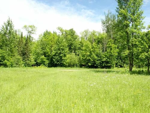 Pt Lot 9 Atwood 2 Rd, Rainy River, ON 