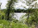 Pt Lot 9 Atwood 2 Rd, Rainy River, ON 