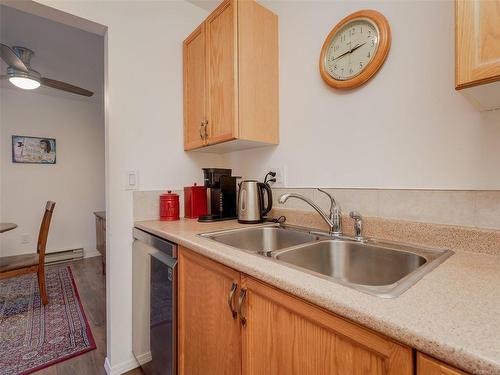 305-254 First St, Duncan, BC - Indoor Photo Showing Kitchen With Double Sink
