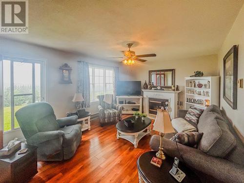 2 Top Road, Branch, NL - Indoor Photo Showing Living Room With Fireplace