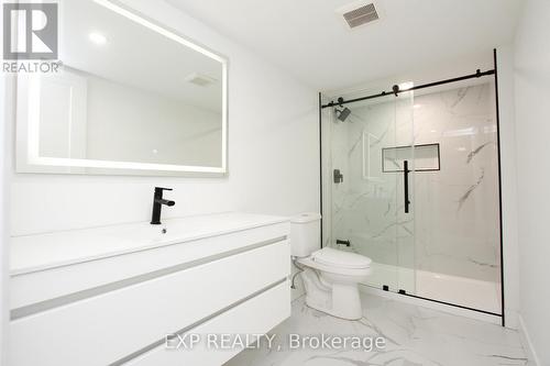 B2 - 145 South Creek Drive, Kitchener, ON - Indoor Photo Showing Bathroom