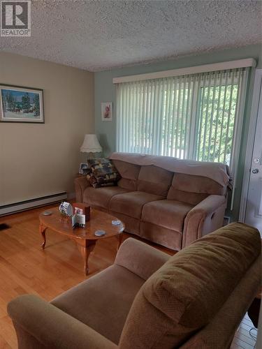 3 Bayview Heights, Glovertown, NL - Indoor Photo Showing Living Room