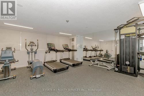 802 - 3590 Kaneff Crescent, Mississauga, ON - Indoor Photo Showing Gym Room