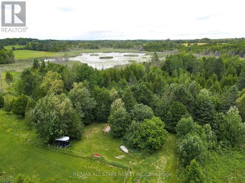 371 Sturgeon Point Road, Kawartha Lakes, ON - Outdoor With View