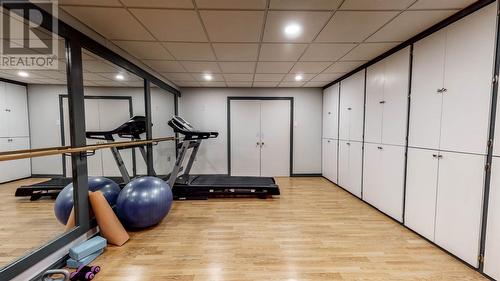 74 Circular Road, St. John'S, NL - Indoor Photo Showing Gym Room