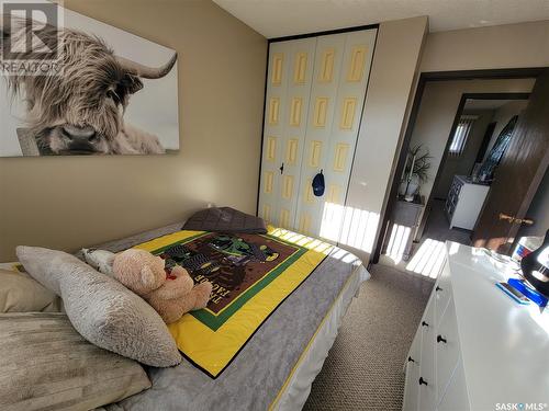 5023 Tribune Street, Macklin, SK - Indoor Photo Showing Bedroom