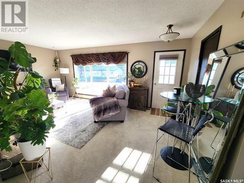 5023 Tribune Street, Macklin, SK - Indoor Photo Showing Living Room