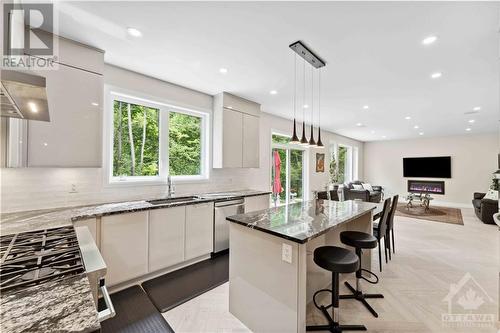 Gas stove and modern kitchen - 820 Mercier Crescent, Ottawa, ON - Indoor Photo Showing Kitchen With Upgraded Kitchen