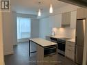 2209 - 203 College Street, Toronto, ON  - Indoor Photo Showing Kitchen With Stainless Steel Kitchen With Upgraded Kitchen 