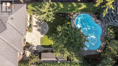 73 Rochester Avenue, Toronto (Lawrence Park South), ON - Outdoor With In Ground Pool