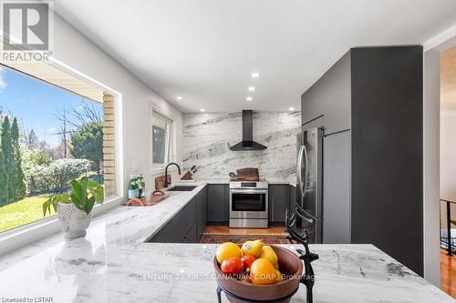 688 Westmount Hills Drive E, London, ON - Indoor Photo Showing Kitchen With Stainless Steel Kitchen With Upgraded Kitchen