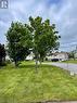 30 Collishaw Crescent, Gander, NL  - Outdoor 