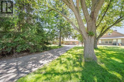 7735 Clairview, Windsor, ON - Outdoor