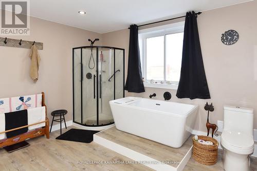 425 Digby Laxton Boundry Road, Kawartha Lakes, ON - Indoor Photo Showing Bathroom
