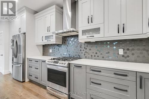 62 Roos Street, Kitchener, ON - Indoor Photo Showing Kitchen With Stainless Steel Kitchen With Upgraded Kitchen