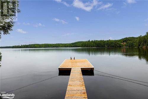 1622 West Shore Rd, Dysart, ON - Outdoor With Body Of Water With View