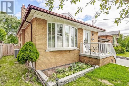 43 Densgrove Road, Toronto, ON - Outdoor With Deck Patio Veranda