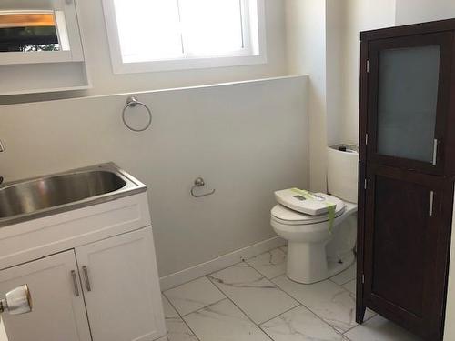 60 Oak Avenue, Thunder Bay, ON - Indoor Photo Showing Bathroom