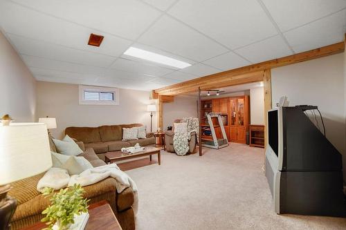 24 Nicklaus Drive, Hamilton, ON - Indoor Photo Showing Basement