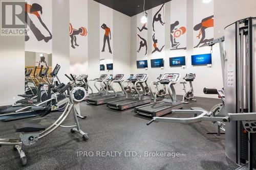 453 - 1030 King Street W, Toronto (Niagara), ON - Indoor Photo Showing Gym Room