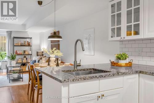 105 - 262 St Helens Avenue, Toronto, ON - Indoor Photo Showing Kitchen With Upgraded Kitchen