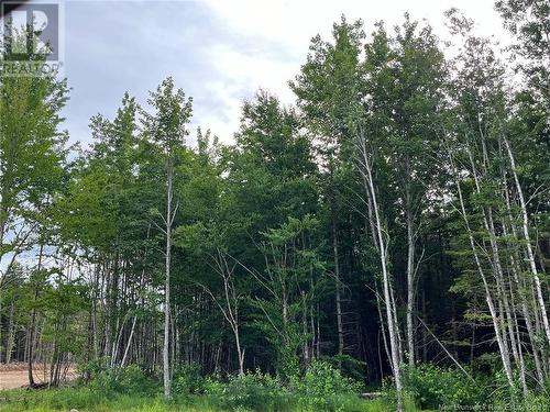 Lot 24-40 Queensbury Court, Lower Coverdale, NB 