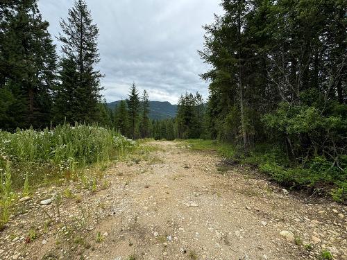 Lot 1 Thompson Rd Road, Christina Lake, BC 