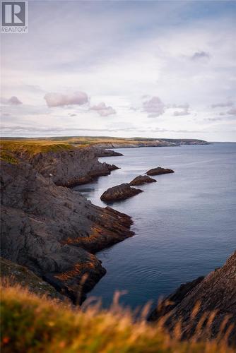 54 Ocean View Drive, Norman'S Cove, NL 