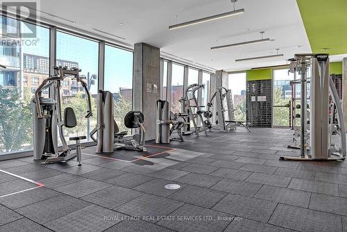501 - 30 Baseball Place, Toronto, ON - Indoor Photo Showing Gym Room