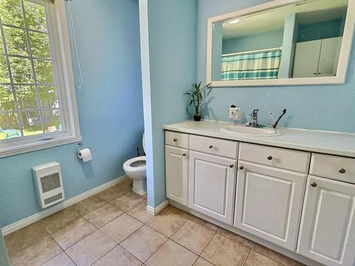 Salle de bains - 1477 Rue Bilodeau, Thetford Mines, QC - Indoor Photo Showing Bathroom