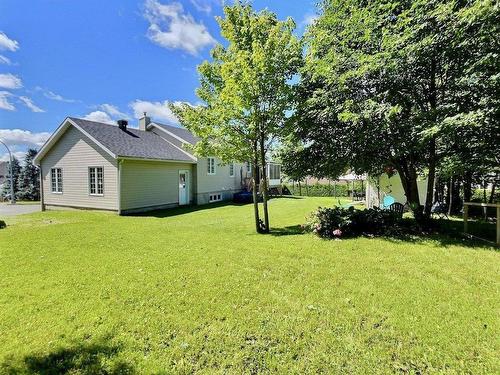 Cour - 1477 Rue Bilodeau, Thetford Mines, QC - Outdoor