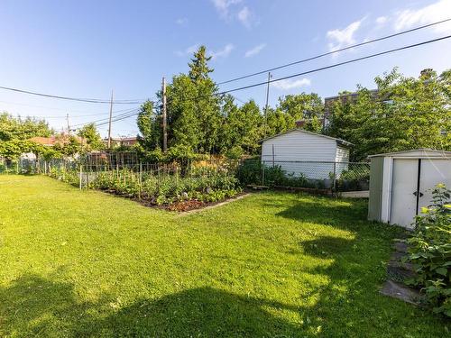 Backyard - 10245  - 10247 Av. Bruchési, Montréal (Ahuntsic-Cartierville), QC - Outdoor