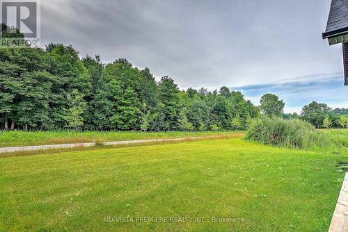 Backing onto forest - Lot 162 - 3990 Big Leaf Trail, London, ON - Outdoor With View