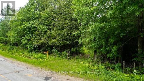 1148 Mt St Patrick Road, Admaston/Bromley, ON 