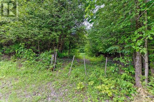 1148 Mt St Patrick Road, Admaston/Bromley, ON 