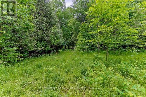 1148 Mt St Patrick Road, Admaston/Bromley, ON 