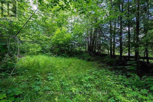 1148 Mt St Patrick Road, Admaston/Bromley, ON 