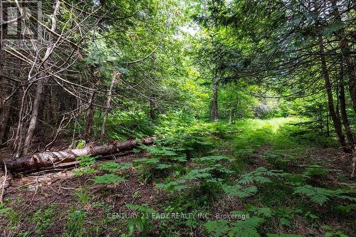 1148 Mt St Patrick Road, Admaston/Bromley, ON 