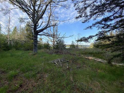 Lot 1 West Sable Road, West Middle Sable, NS 