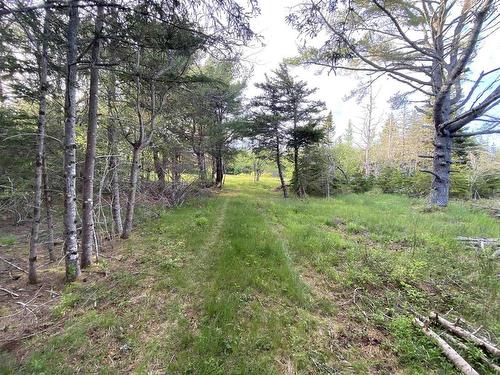 Lot 1 West Sable Road, West Middle Sable, NS 