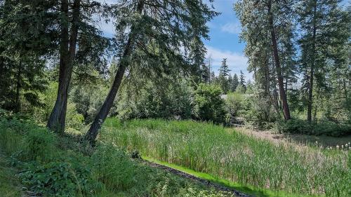 3145 Hall Road, Kelowna, BC - Outdoor With View