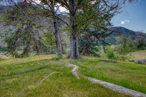 1902 Highway 97, Okanagan Falls, BC - Outdoor With View