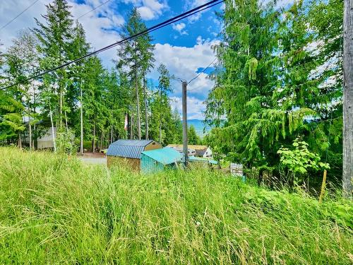 7436 Estate Drive, Anglemont, BC - Outdoor