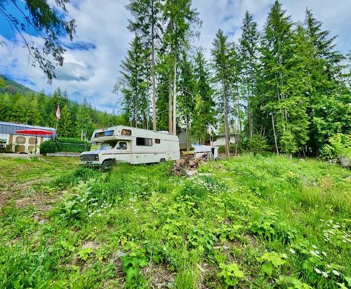 7436 Estate Drive, Anglemont, BC - Outdoor