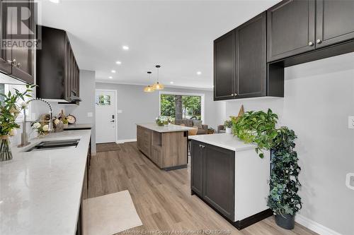 866 Ford Boulevard, Windsor, ON - Indoor Photo Showing Kitchen