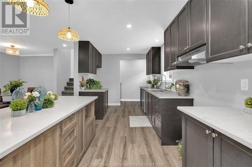 866 Ford Boulevard, Windsor, ON - Indoor Photo Showing Kitchen