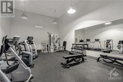 Newly renovated fitness facility - 1081 Ambleside Drive Unit#712, Ottawa, ON - Indoor Photo Showing Gym Room
