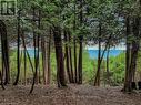 Lot 2 Blanchfield Road, Saugeen Shores, ON 